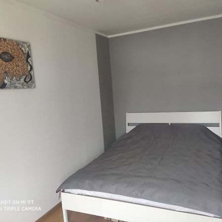 דירות ריגה Cozy Flat In Latvian Style מראה חיצוני תמונה